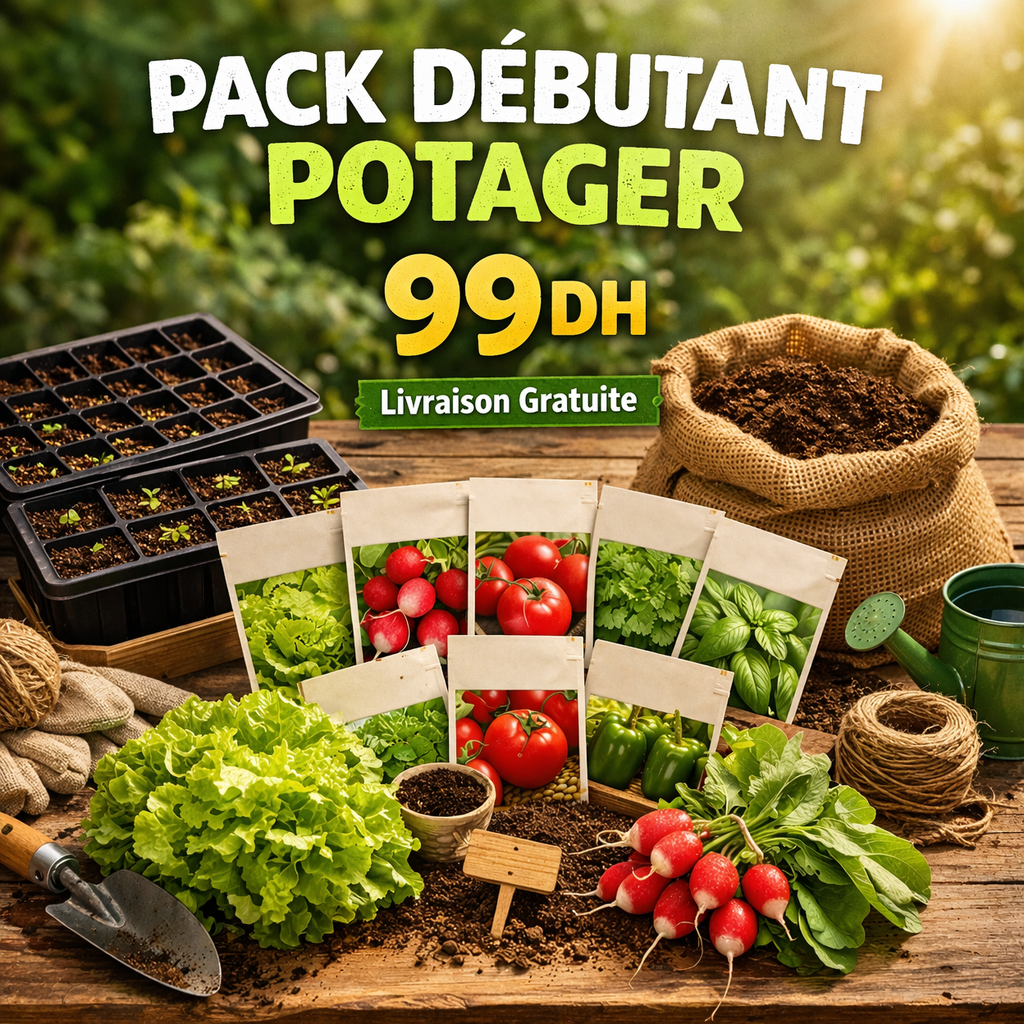 Pack Débutant Potager Bymoro